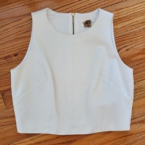 Dressy Crop Top
